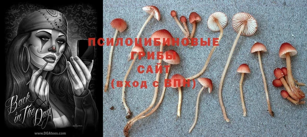 прущий лед Арсеньев