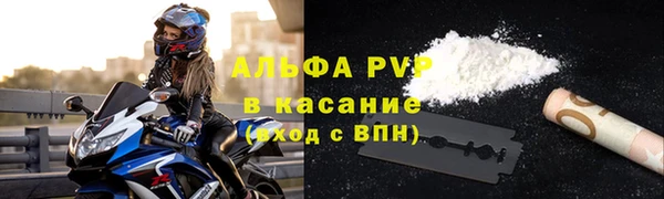 PSILOCYBIN Аркадак