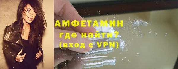 PSILOCYBIN Аркадак