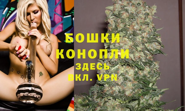 PSILOCYBIN Аркадак