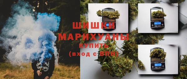 PSILOCYBIN Аркадак