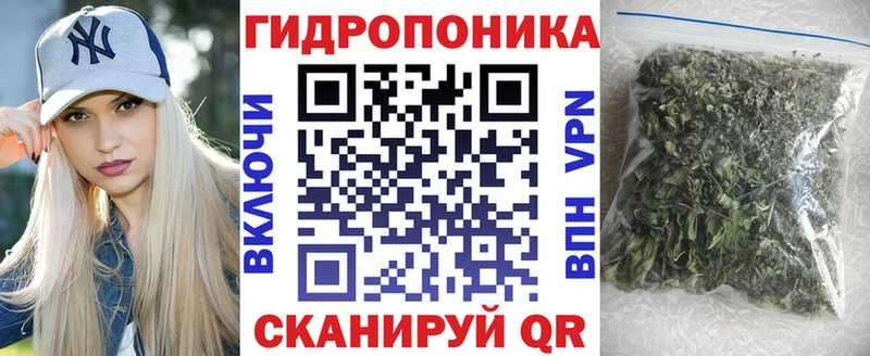Шишки марихуана гибрид Павловская